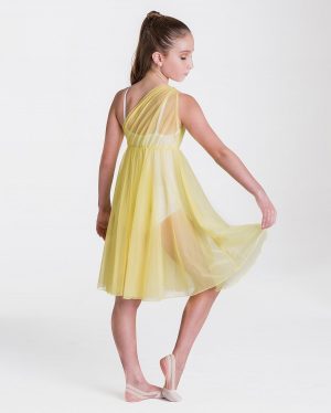 Grecian Lyrical Dress - adult sizes-39054